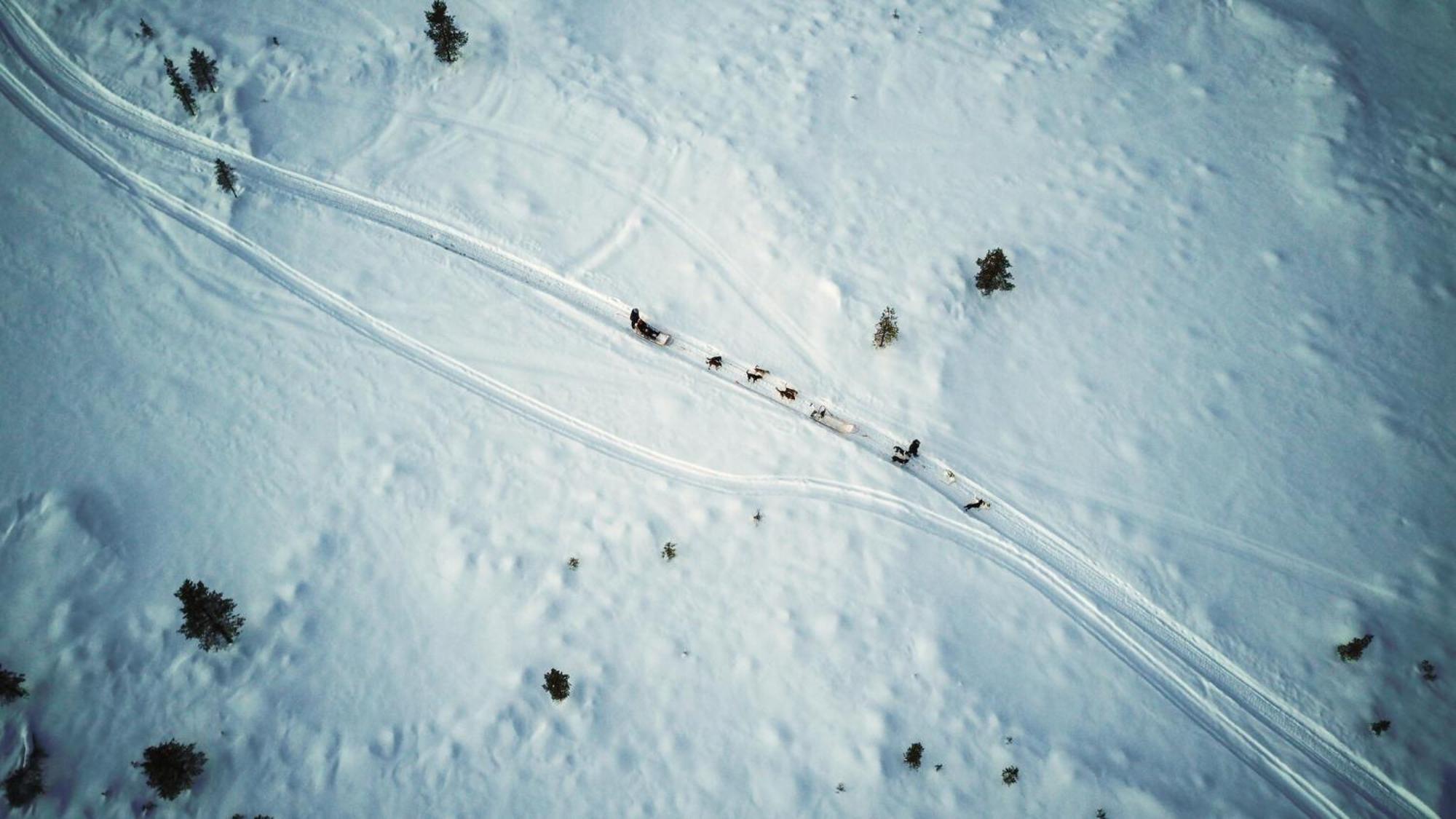 Crow Creek Cabins Enare Eksteriør bilde